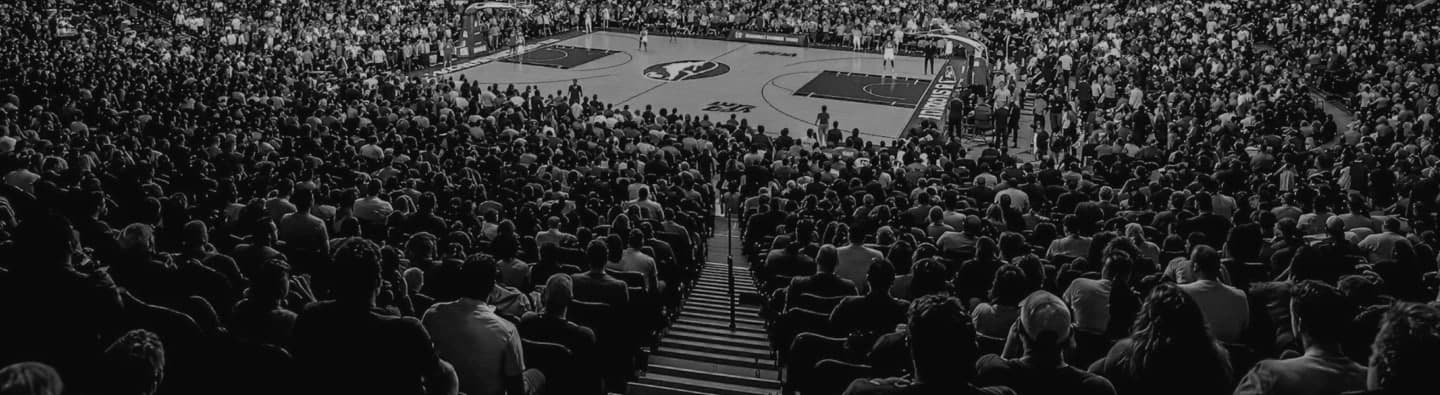 A packed arena crowd watching a basketball game